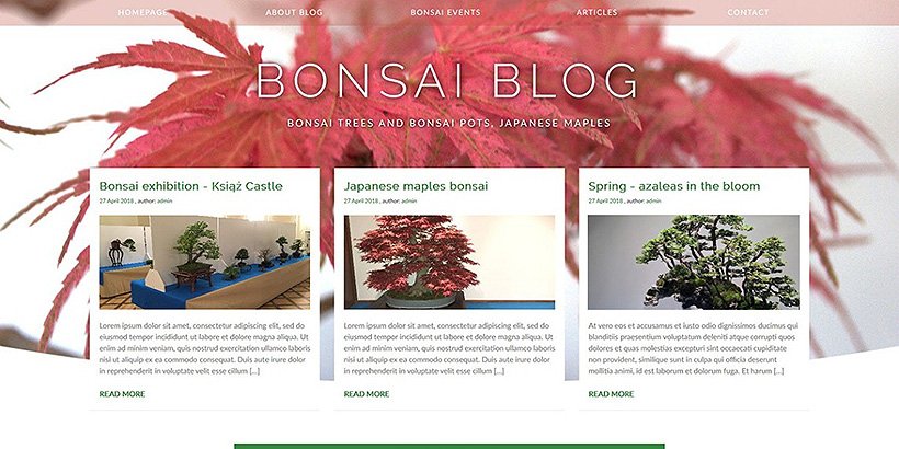 free blog wordpress themes