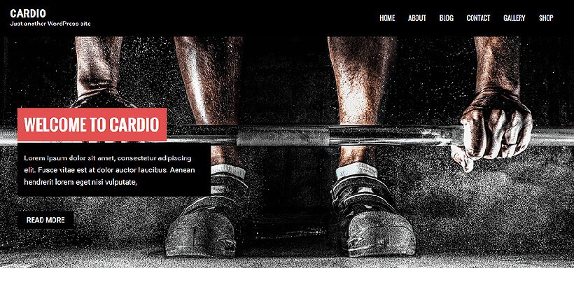 cardio free fitness wordpress themes