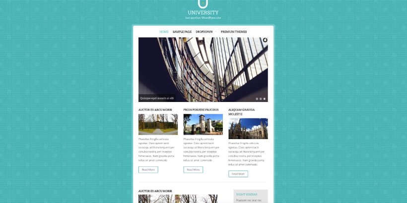 University Free Education WordPress Themes