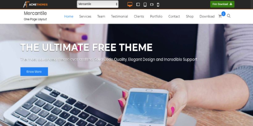  free travel WordPress theme