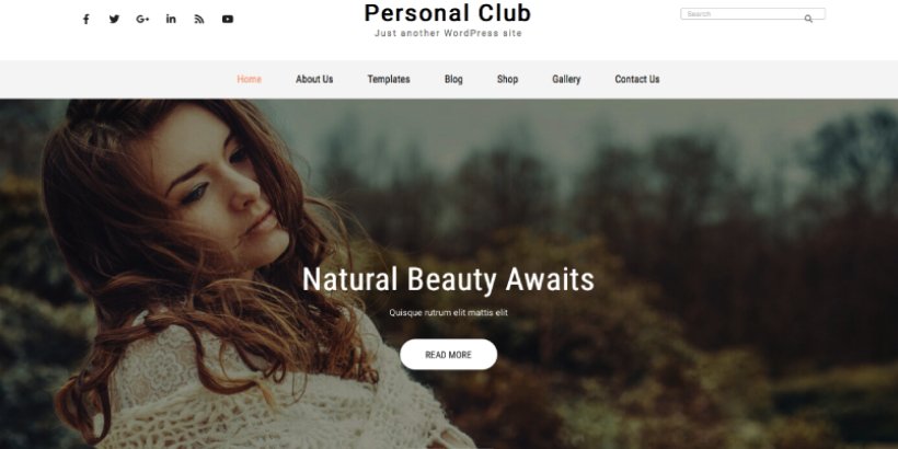 free travel WordPress theme