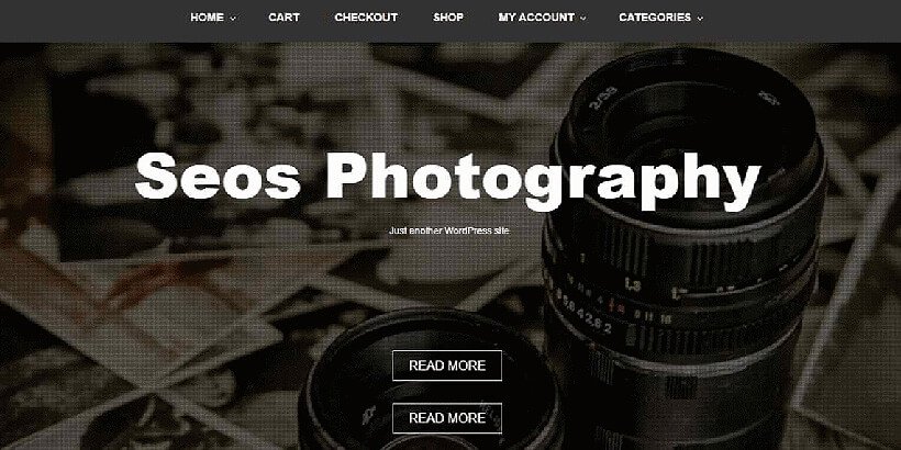 seos free photography wordpress themes