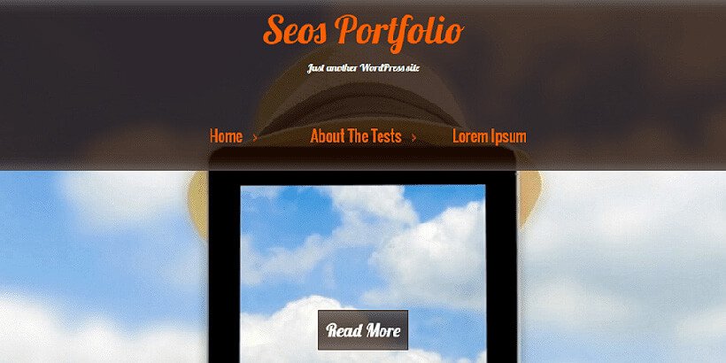 seos free portfolio wordpress themes