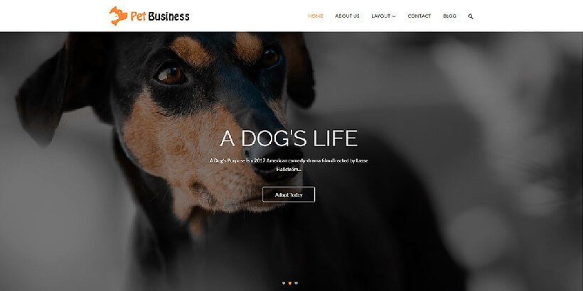 petbusiness free business wordpress themes