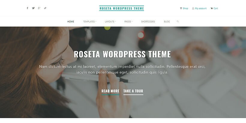 roseta free portfolio wordpress themes
