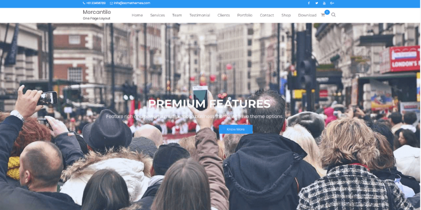 free responive wordpress theme