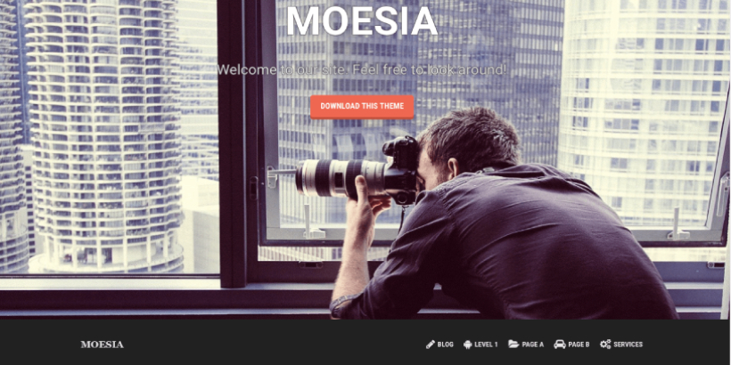 free responsive WordPress theme