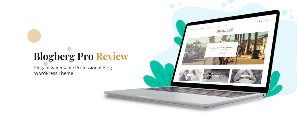 blogberg pro wordpress theme review