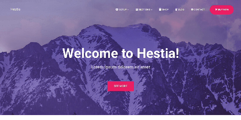 hestia free gutenberg compatible wordpress theme