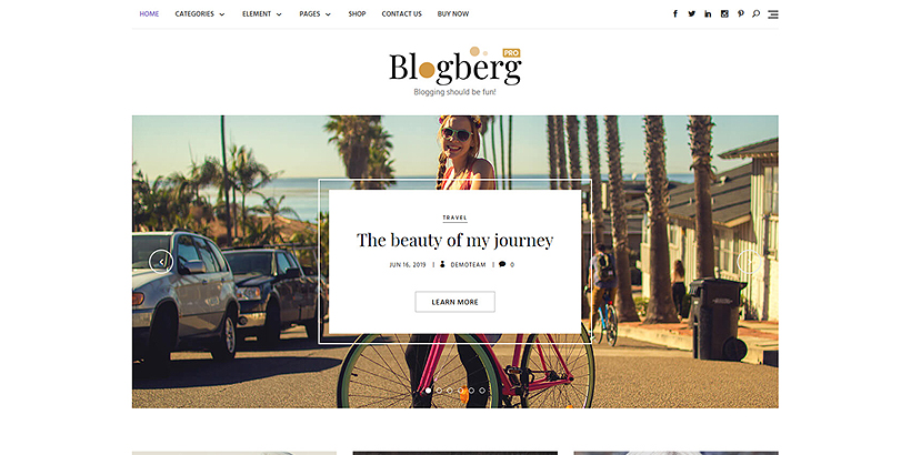 home bolgberg pro wordpress theme