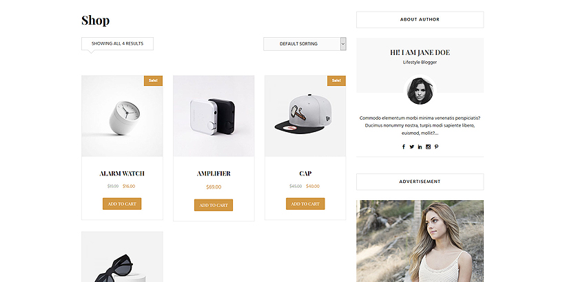 shop contact bolgberg pro wordpress theme