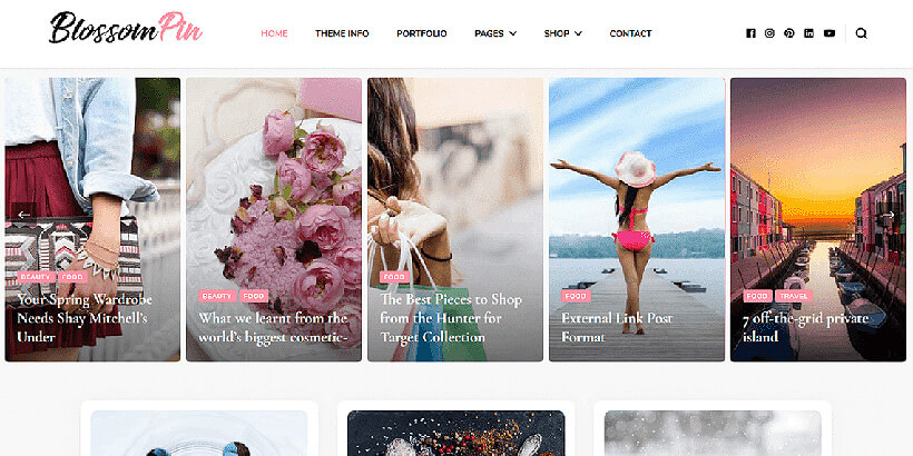 blossompin free lifestyle wordpress themes