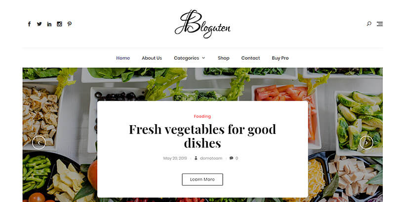 bloguten free lifestyle wordpress themes