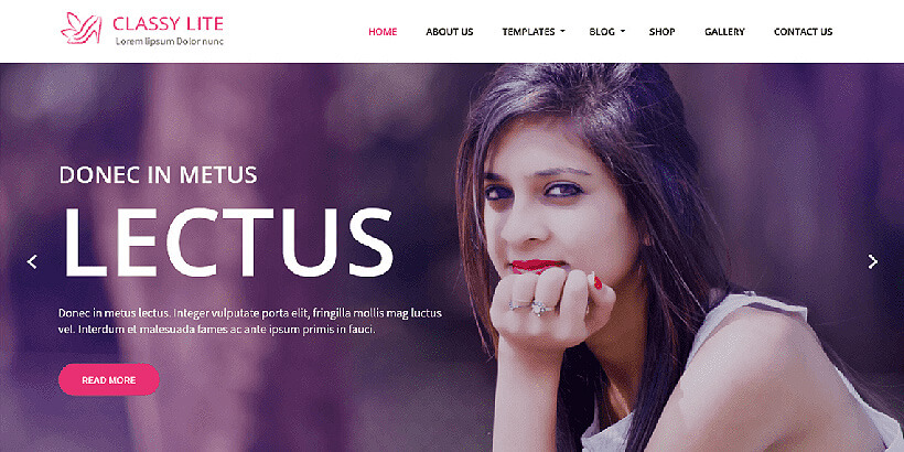 classylite free feminine wordpress themes