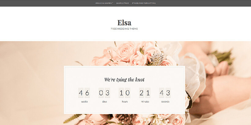 elsa free feminine wordpress themes