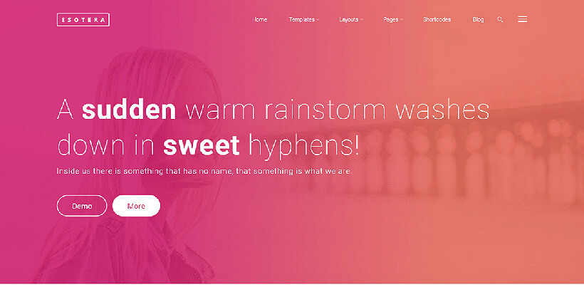 estotera free landing page wordpress themes
