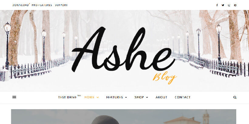 ashe most popular wordpress themes