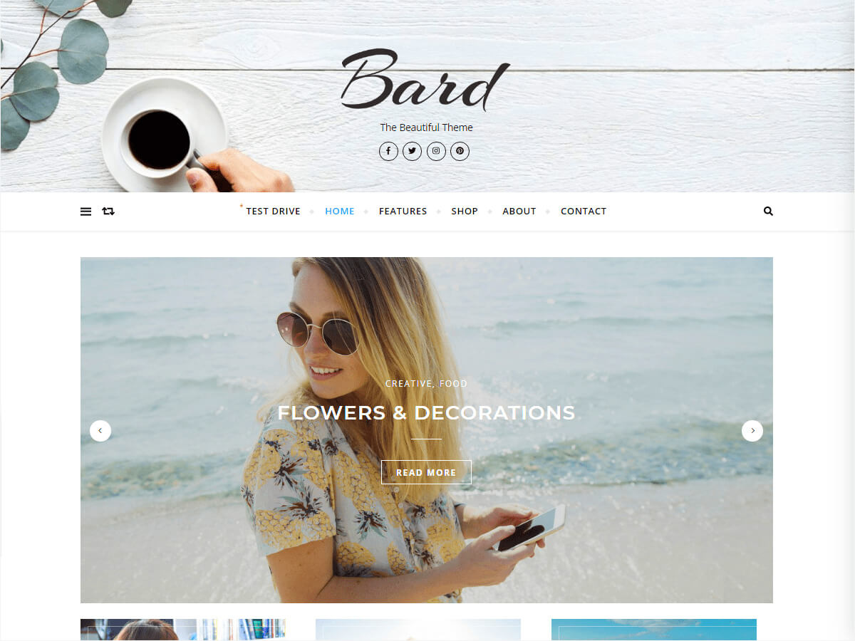 bard free wordpress themes