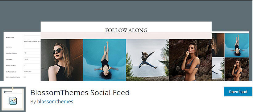 blossomthemes wordpress instagram feeds plugins