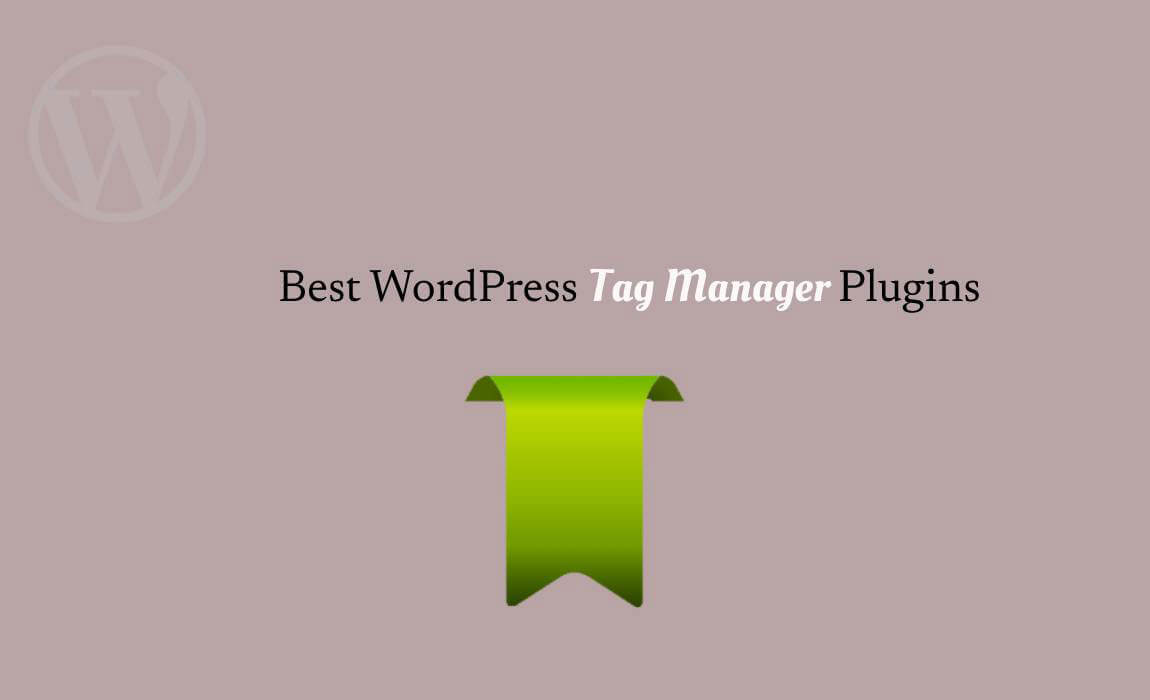 WordPress Tag Manager Plugins