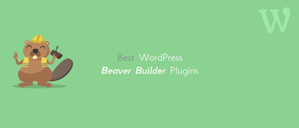 5 + Best WordPress Beaver Builder Plugins 2024