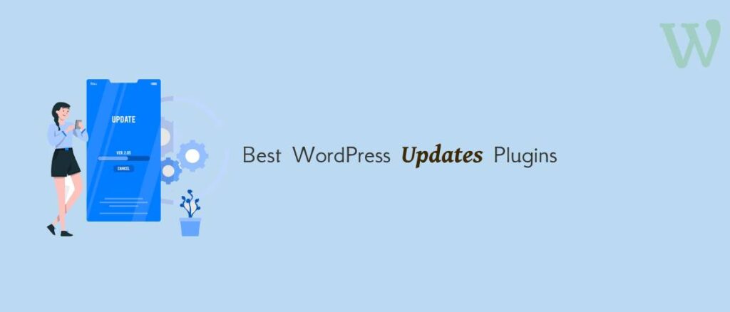 WordPress Updates Plugins